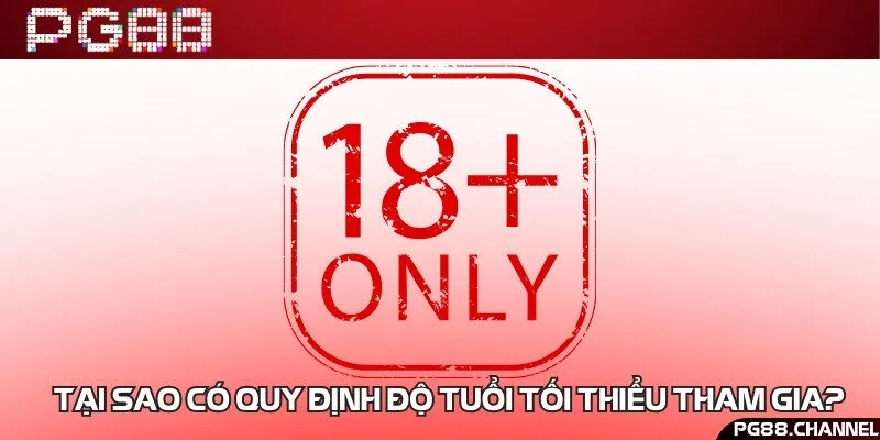 Pháp luật Việt Nam chỉ cho phép người trên 18 tuổi tham gia đặt cược